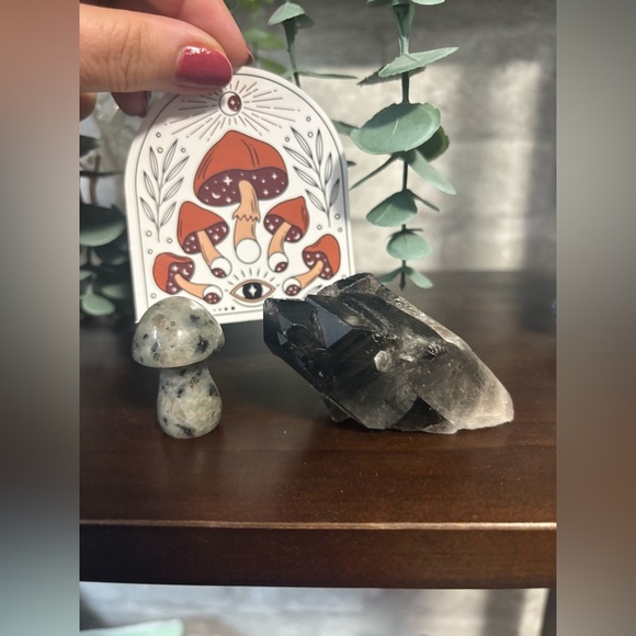 Smoky quartz point with root and lavakite Mushroom set  for the crystal lovers - Picture 3 of 3